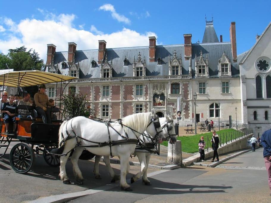 Blois City - Le Petit Louis XII Exterior foto